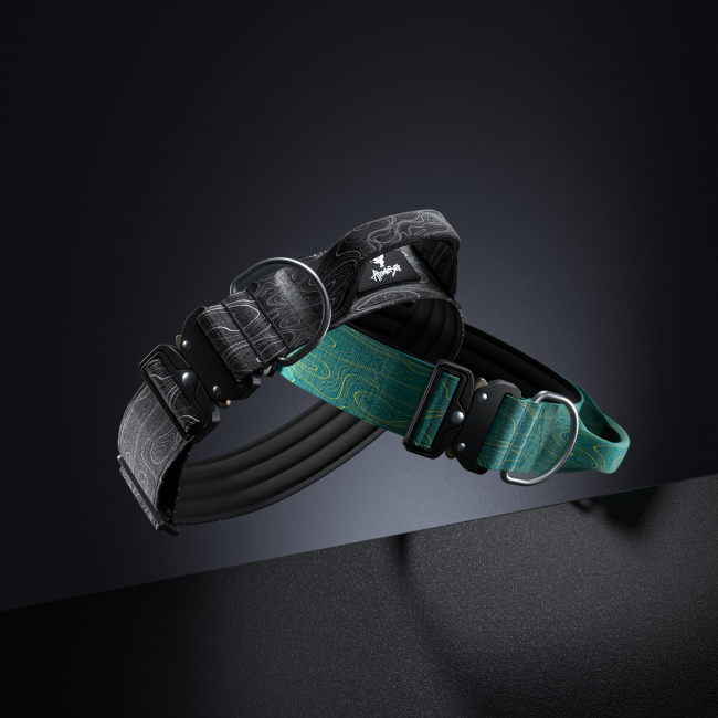 Atomic bark collar